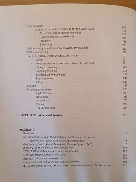 The Journey to Pain Relief : Phyllis Berger (Paperback)
