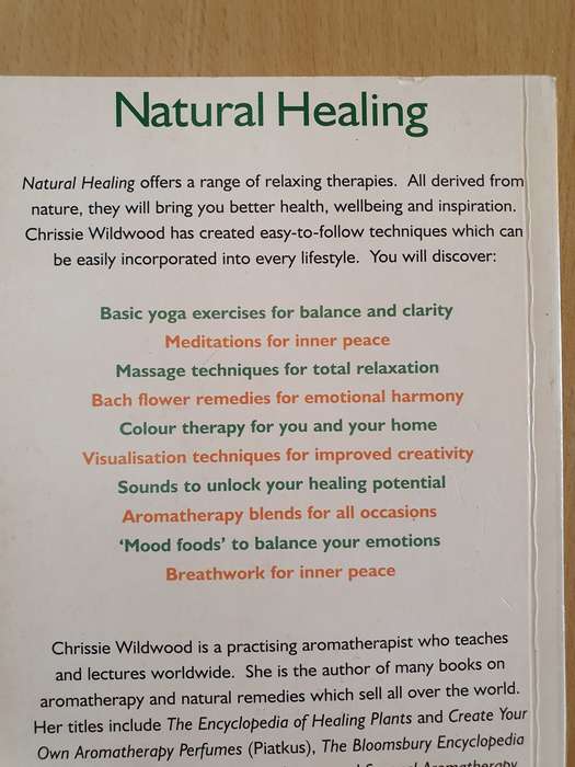 Natural Healing : Chrissie Wildwood (Paperback)