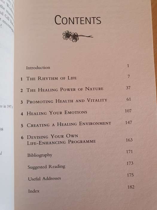 Natural Healing : Chrissie Wildwood (Paperback)