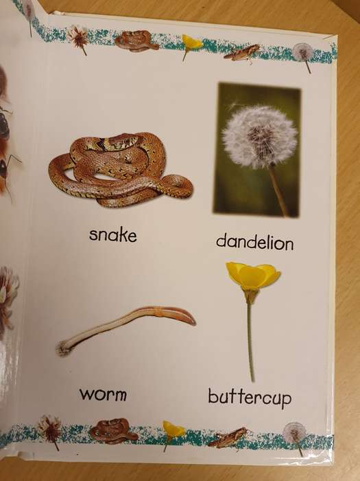 My First Word Book - In the Garden (Board Book)