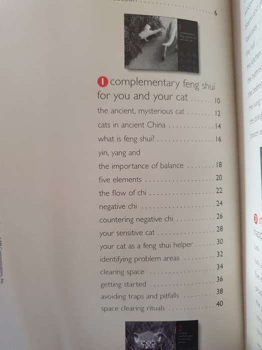 Feng Shui - For you and your cat: Alison Daniels (Paperback)