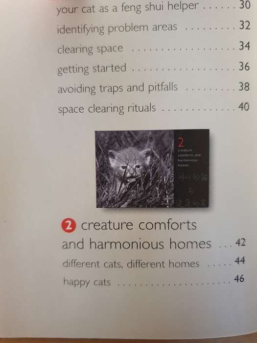 Feng Shui - For you and your cat: Alison Daniels (Paperback)