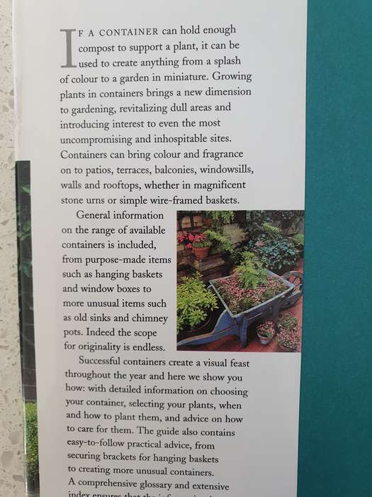 Containers  - Guide to Growing and Displaying Plants in Pots, Window Boxes: David Squire