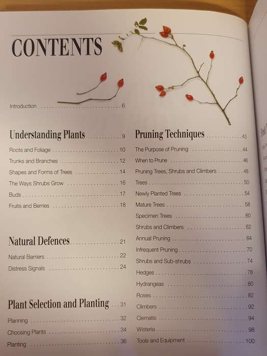 Pruning Made Easy : M. Lombardi & C. Serra Zanetti (Paperback)