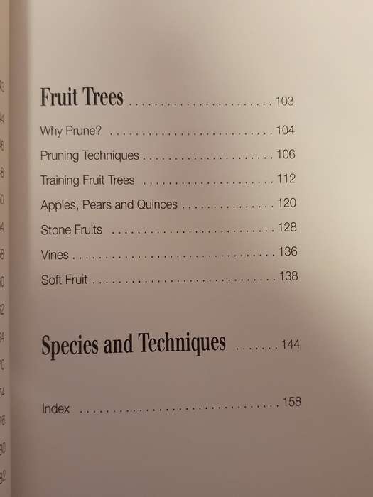 Pruning Made Easy : M. Lombardi & C. Serra Zanetti (Paperback)