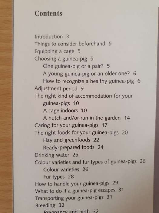 Guinea Pigs - The Basic Pet Care Guide (Paperback)