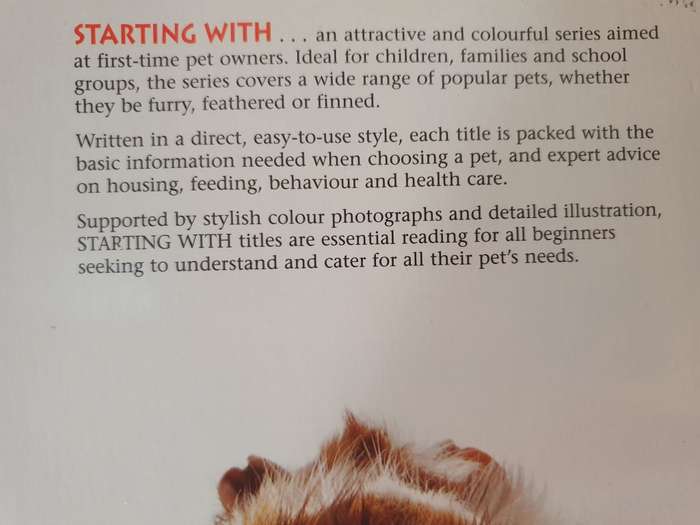 Guinea Pigs - The Basic Pet Care Guide (Paperback)