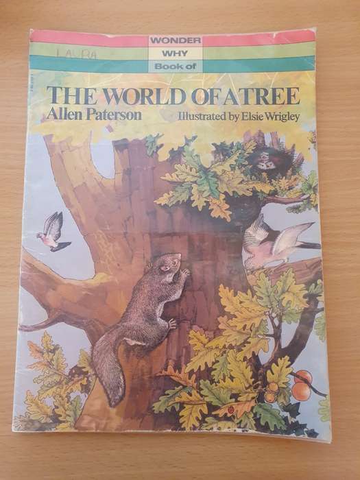 Wonder Why Book of -The World of a Tree: Allen Paterson (Paperback)