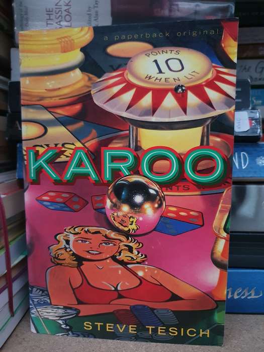 Karoo : Steve Tesich (Paperback)