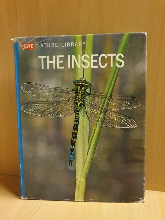 Life Nature Library - The Insects (Hardcover)