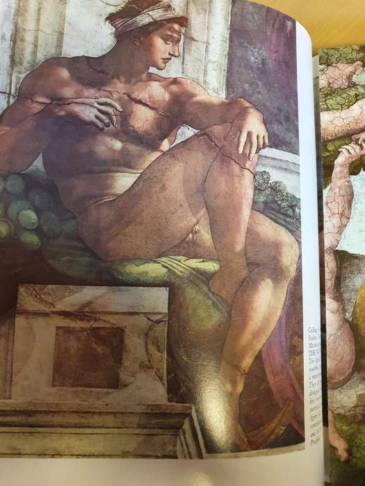 Michelangelo and Raphael in The Vatican (All the Sistine Chapel, The Stanzas and The Loggias)