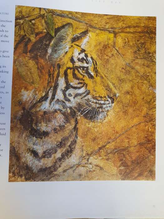 Art Techniques from Pencil to Paint - Texture & Effects: Paul Taggart (Hardcover)