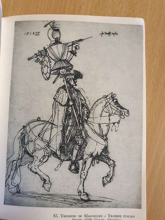 Albert Durer (Paperback)