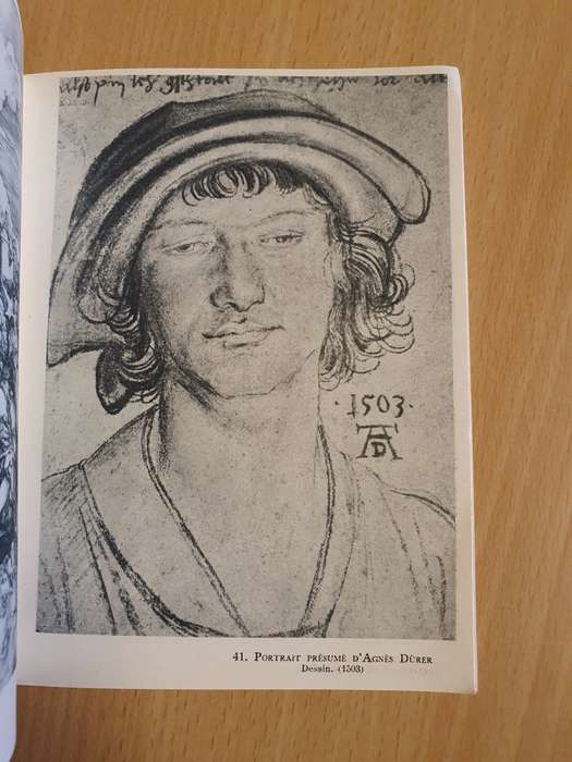 Albert Durer (Paperback)