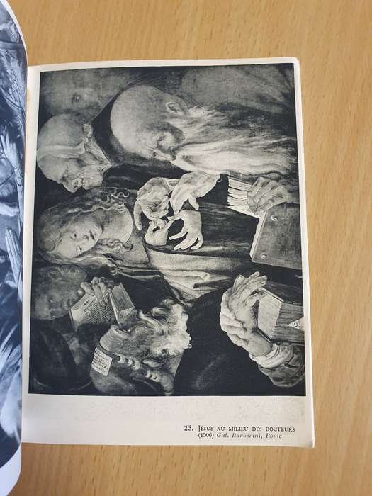 Albert Durer (Paperback)