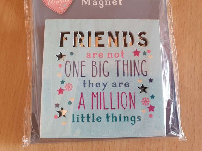 Friends are not One Big Thing, they are a Million little things Keyring/Keychain (NEW CONDITION)