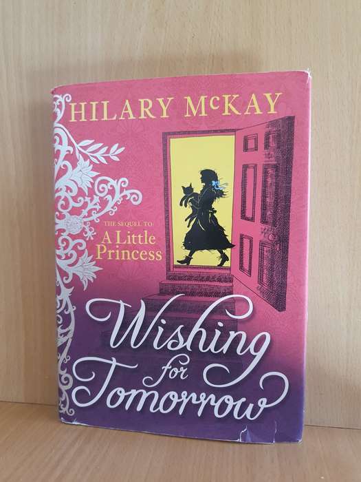 Wishing for Tomorrow: Hilary McKay (Hardcover)