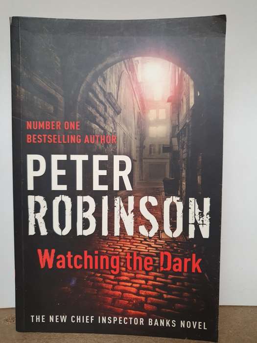 Watching the Dark: Peter Robinson (Paperback)