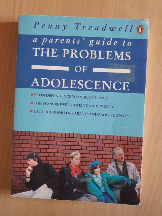 A Paren`s Guide to The Problems of Adolescence: Penny Treadwell (Paperback)
