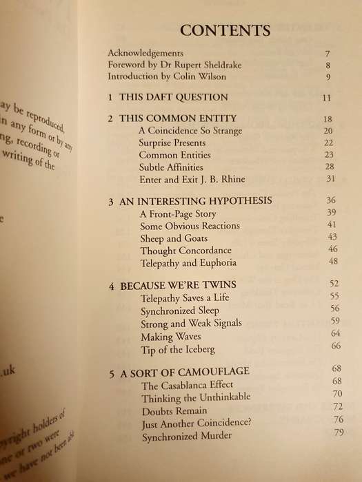 Twin Telepathy - The Psychic Connection: Guy Lyon Playfair (Paperback)
