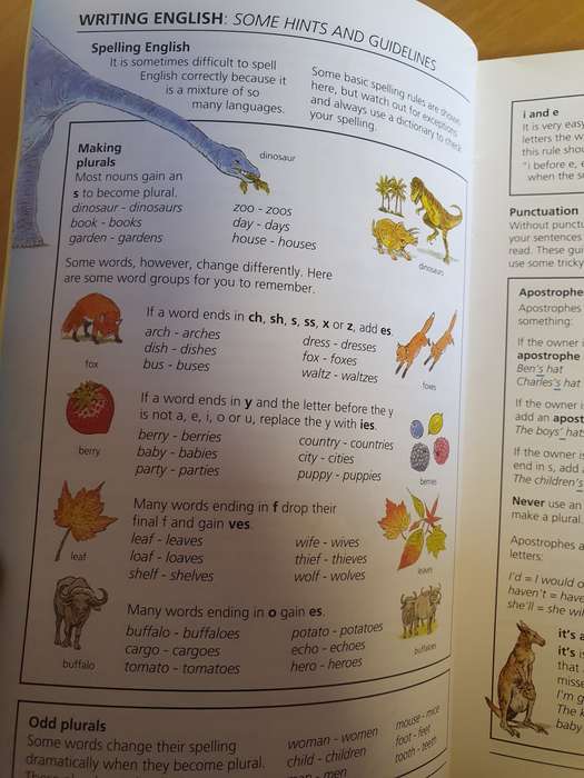 The Usborne Pocket Dictionary  (Paperback)