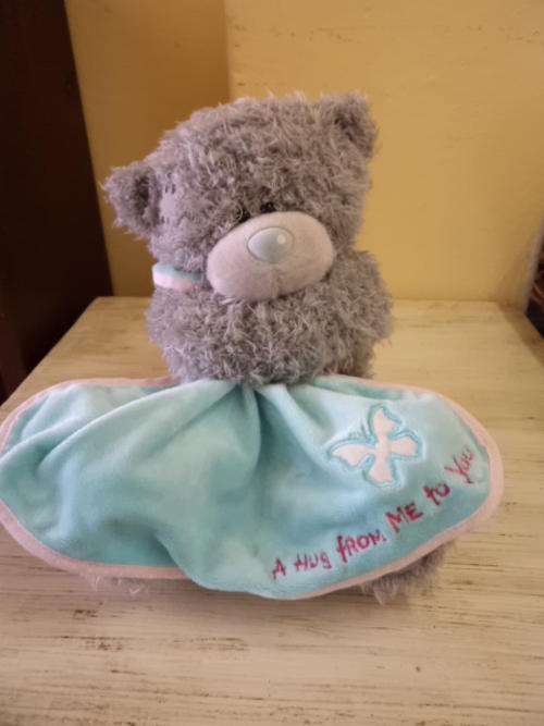 Grey Teddy Bear