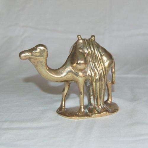 Heavy Solid Brass Camel - Weight 800 grams - Height 95mm