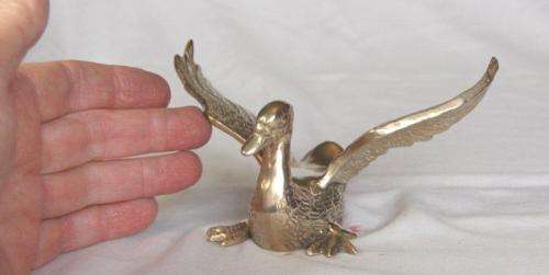 Elegant Duck with Outstreched Wings - Wingspan 150mm