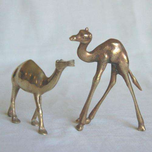2 Solid Brass Camels - Tallest 90mm