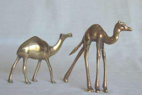 2 Solid Brass Camels - Tallest 90mm