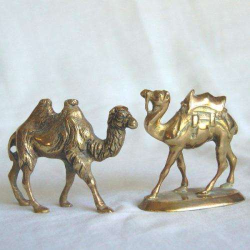 2 Solid Brass Camels - Height 70mm