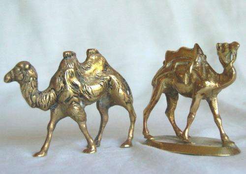 2 Solid Brass Camels - Height 70mm
