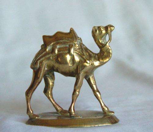 2 Solid Brass Camels - Height 70mm