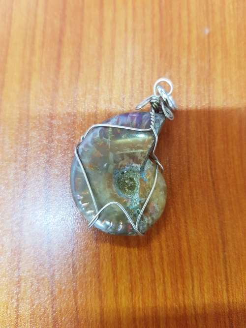 Ammonite Opalescent Fossil Wire Wrapped Pendant