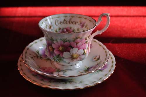 Royal Albert Flower Of The Month October "Cosmos" Trio