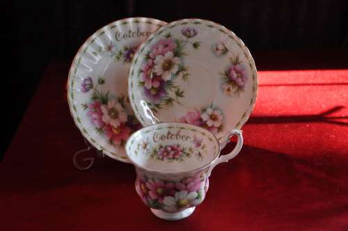 Royal Albert Flower Of The Month October "Cosmos" Trio