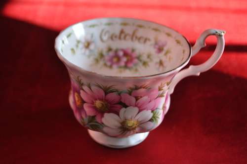 Royal Albert Flower Of The Month October "Cosmos" Trio