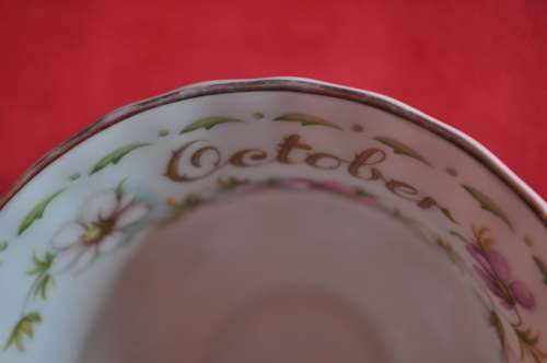 Royal Albert Flower Of The Month October "Cosmos" Trio