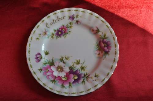 Royal Albert Flower Of The Month October "Cosmos" Trio