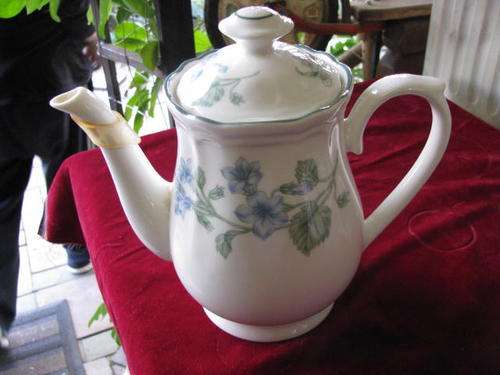 A MARGARET ROBERTS BOTANICALS TEAPOT..IN IMMACUALTE CONDITION..NEVER USED..@ CRRAAAZZZY R1 START..