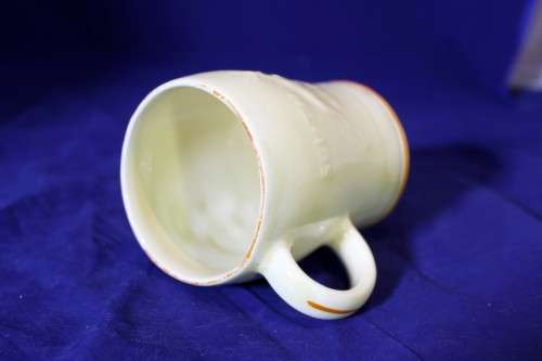 Crown Devon - embossed 1947 Royal visit to RSA mug