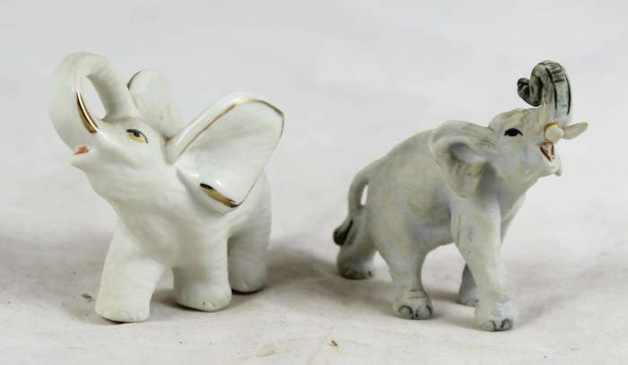 Pair of white elephants