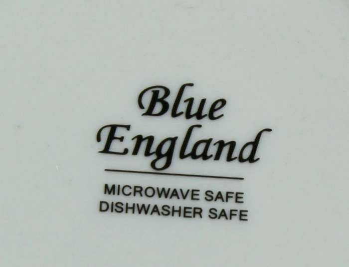 Blue England duo