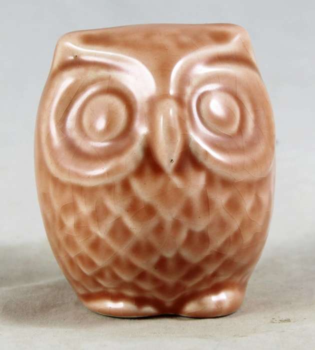 Small owl
