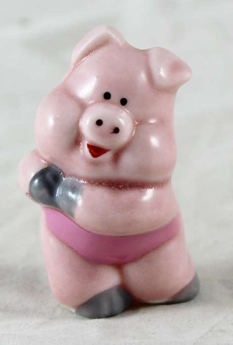 Little pig wearing pink leotard