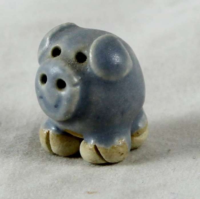 Miniature grey pig