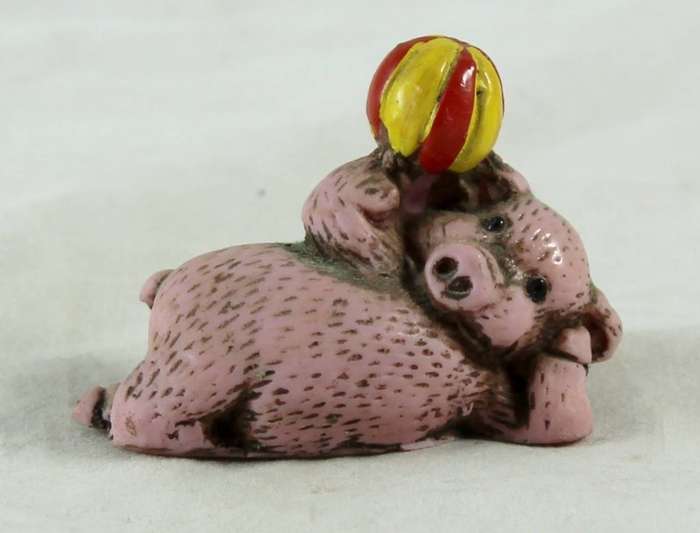 Pig laying down with beach ball