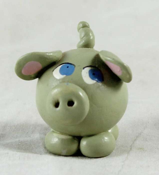 Miniature pig with blue eyes