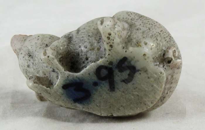 Grey pig with red mouth
