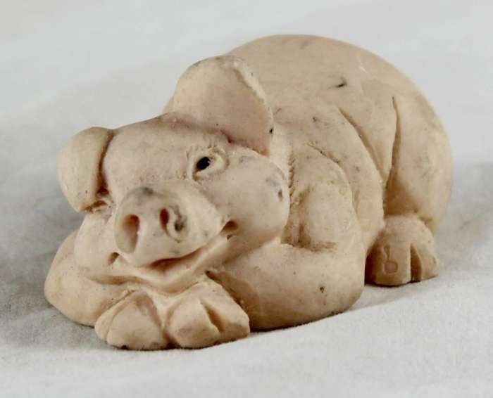 Pig Laying Down and Peaking - Gorgeous!